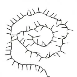 Maisons Du Monde Guirlandes Et Cimiers Guirlande De Noël Lumineuse Blanche 500 LEDS 11M