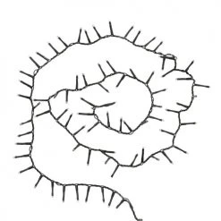 Maisons Du Monde Guirlandes Et Cimiers Guirlande électrique L.90