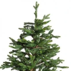 Maisons Du Monde Guirlandes Et Cimiers Guirlande Lumineuse Intérieur/extérieur L895 -Luminaires Ventes guirlande lumineuse interieur exterieur l895 1000 13 27 161649 3