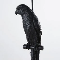 Maisons Du Monde Lampadaires Lampadaire Avec Perroquet Noir H157 -Luminaires Ventes lampadaire avec perroquet noir h157 1000 14 16 215676 2